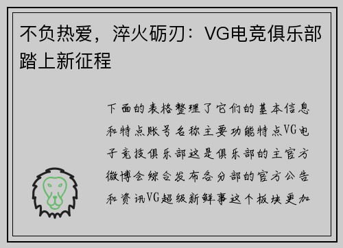 不负热爱，淬火砺刃：VG电竞俱乐部踏上新征程